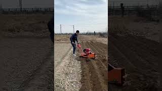 Multifunctional tillerOrchard greenhouse management rotary Peanut furrow soil weeding🥶#shorts