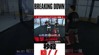 秒殺KO勝利！,喧嘩自慢｜ブレイキングダウン 朝倉未来 朝倉海 白川陸斗 BreakingDown