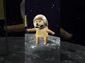 doge coin is ready to go on mars dogecoin doge elonmusk