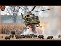 Amazing: How Do American Hunters And Farmers Deal Wild Boar And Invasive Species By Helicopter