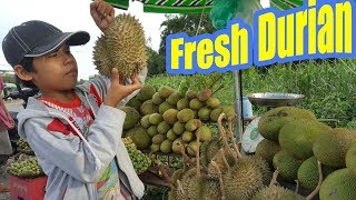 Vietnam Street Food - Vietnamese Fresh Fruit Durian - Sau Rieng Khong Thuoc