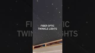 Fiber Optic Twinkle Lights!