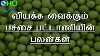 Green Peas Health Benefits in Tamil -  பச்சை பட்டாணியின் பலன்கள்