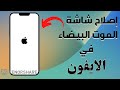 كيفية إصلاح شاشة الموت البيضاء على iPhone | طرق 3