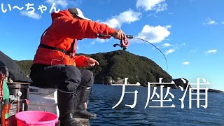 1月 養殖コワリから大型連発！この釣り方は初めての地でも通用する⁉︎  三重県南伊勢町方座浦 NISHIBORI渡船