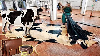 देखिये कैसे बनतें हैं चमड़े के सामान | Leather Production Process.