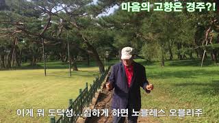 [단디해라2] 마음의 고향은 경주?!