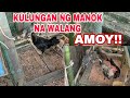 PARAAN PAANO MAWALA ANG MABAHONG AMOY SA KULUNGAN NG MANOK#nativechicken #dorieinsonvlog