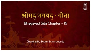 Bhagavad Gita Chant | Chapter 15 | Swami Brahmananda | with Hindi & English Subtitles