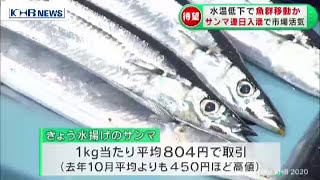 サンマ連日の水揚げ　市場に活気　宮城　（20201013OA）