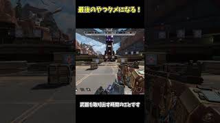 標準ストックの豆知識！【Apex】