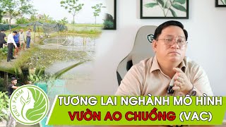 Tương lai nghành mô hình VAC sẽ như thế nào? | Ninh Nguyễn Official