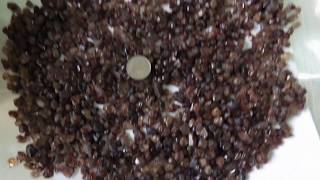 12 Kg.  Unheated Natural Rough Zircon