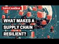 What Makes a Supply Chain Resilient?