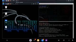 Reverse Python Shell Backdoor (Demo) Kali Linux