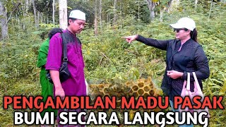 🔴🙏PROSES PENGANGKATAN MADU PASAK BUMI SEKACARA LANGSUNG ‼️ ||Disaksikan secara langsung ❓️