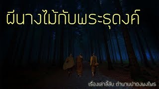 เรื่องลี้ลับ EP17 ผีนางไม้กับพระธุดงค์  (เรื่องเล่าจากป่า)