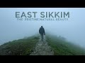 East Sikkim : The Pristine Natural Beauty | A Travel Vlog by Arnab