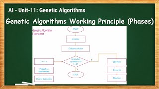 11.3 - Genetic Algorithms Working Principle (Phases) - AI