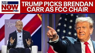 Trump taps Brendan Carr as FCC Chair | LiveNOW from FOX