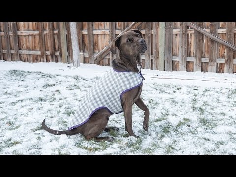 How to Sew a Dog Coat - Pattern and Assembly How to Sew a Dog Coat - Pattern and Assembly