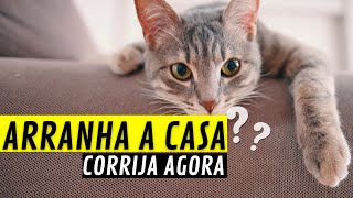 Gato Arranhando a Casa Toda? Faça ele Parar com essa Mania