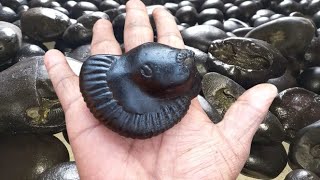 Shaligram, sri surya matsya shaligram shila , gandaki river shaligram