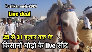 किसानों के घोड़े घोड़ियों के सस्ते सौदे | live horse deal | Pushkar horse mela 2024