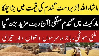 Today Gandum wheat Price, Paddy, Rice Rates in Ghalla Mandi 01-07-2024