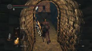 You Can Make This Jump DARK SOULS: REMASTERED