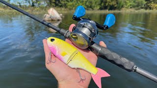 This Lure Works Every Time