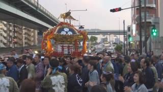 平成28年　葛飾＜四つ木白鬚神社＞例大祭「宵宮」宮神輿＝お発ち・渡御