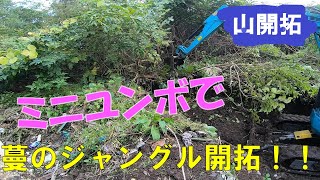 【山開拓】ミニユンボVS蔓のジャングル！ようやく隣の土地と繋がりました