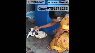 #dog இந்த சகோதரியை எனக்கு வாழ்த்த வயதில்லை இருந்தும் வணங்குகிறேன் ஒரு இனிய பெண் தேவதை வாழ்க வளமோடு 🙏