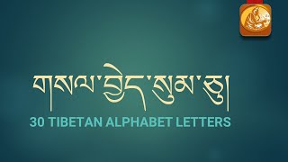 Learn 30 Tibetan Alphabet Letters གསལ་བྱེད་སུམ་ཅུ།