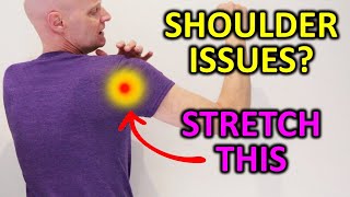 Shoulder Impingement? Do These Shoulder Mobility Exercises (For Posterior Capsule)