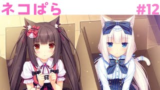 ネコぱら Vol.1 ソレイユ開店しました#11