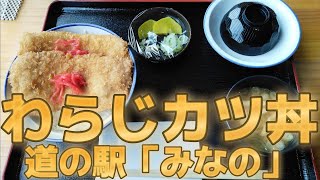 【ドライブ旅】道の駅みなの でわらじカツ丼