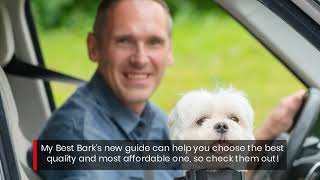 Choose A Dog Seat Belt Or Harness For Your Pet From This Guide's Top Picks