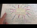 Year 3 and 4 activity: How a mind map can support your LIGHT week writing!