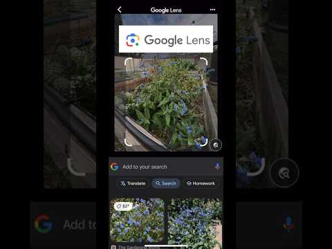 Unlock Plant Identification with Google Lens: A Complete Guide!