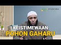 Keistimewaan Pohon Gaharu - dr. Zaidul Akbar Official