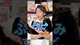 最新の研究で証明された！猫がふみふみする本当の理由