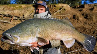 385cm's of Murray Cod in 3 fish! - Monster Murray Cod Fishing