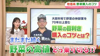 まだまだ続く 野菜の高値 どう乗り切る！？購入のコツとは？｜いまドキッ！Life（2024年11月25日放送）