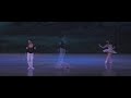 houston repertoire ballet swan lake highlights