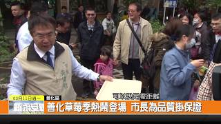 1080311新永安新聞-善化草莓季熱鬧登場 市長為品質掛保證