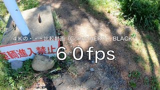 【４Ｋ・実験・散歩】６０fps / ３０fps の・・・比較動画（GoPro HERO７ BLACK）