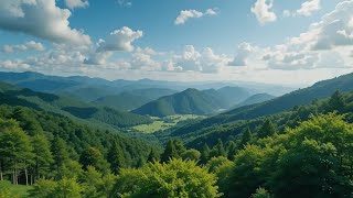 【尾瀬国立公園完全ガイド】絶景・ハイキング・観光スポット・アクセス・四季の魅力【群馬の大自然】