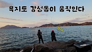 겨울 초입에 욕지도 갯바위에 낚시를 가보니~!